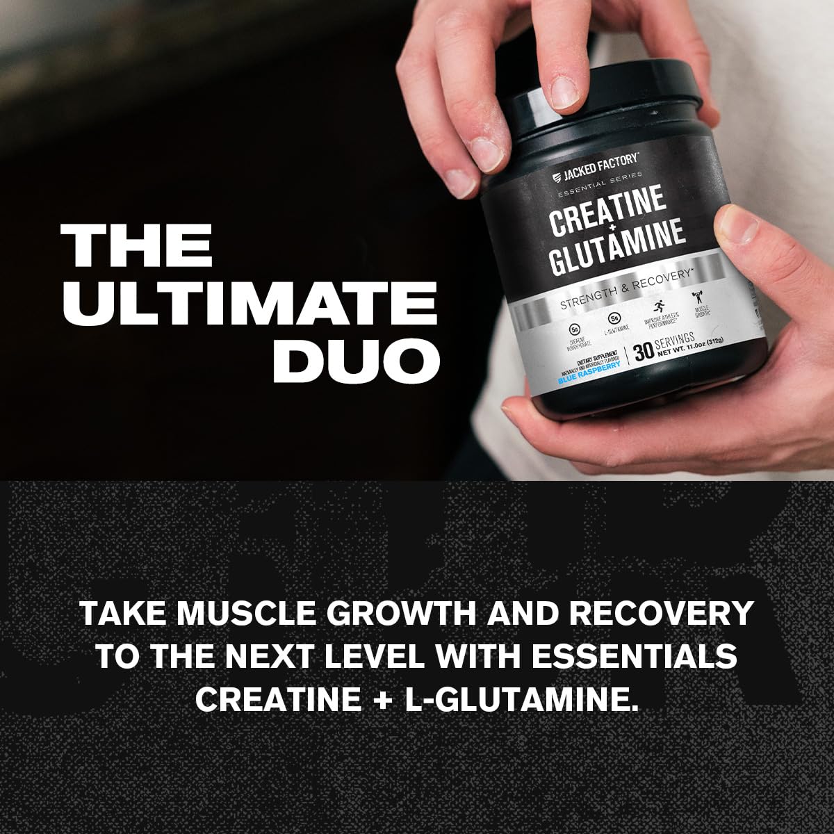 Jacked Factory Creatine + Glutamine - Creatine Supplement with L-Glutamine for Muscle Recovery, Muscle Growth, Increased Strength, Enhanced Energy Output, and Gut Health - 30 Servings, Unflavored