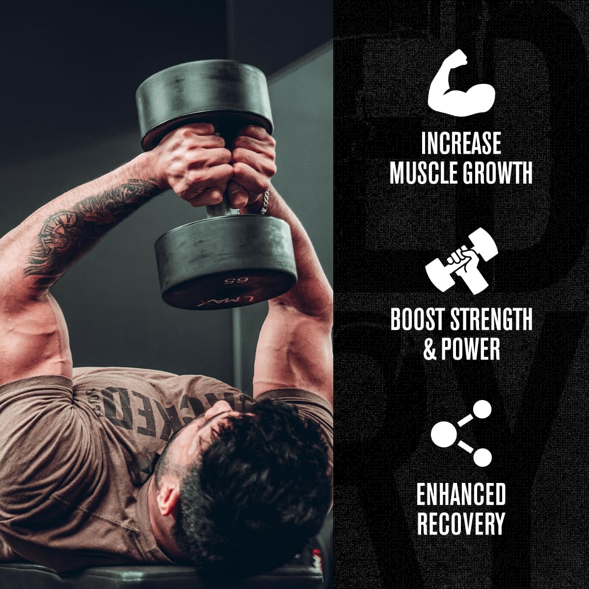 Jacked Factory Creatine + Glutamine - Creatine Supplement with L-Glutamine for Muscle Recovery, Muscle Growth, Increased Strength, Enhanced Energy Output, and Gut Health - 30 Servings, Unflavored
