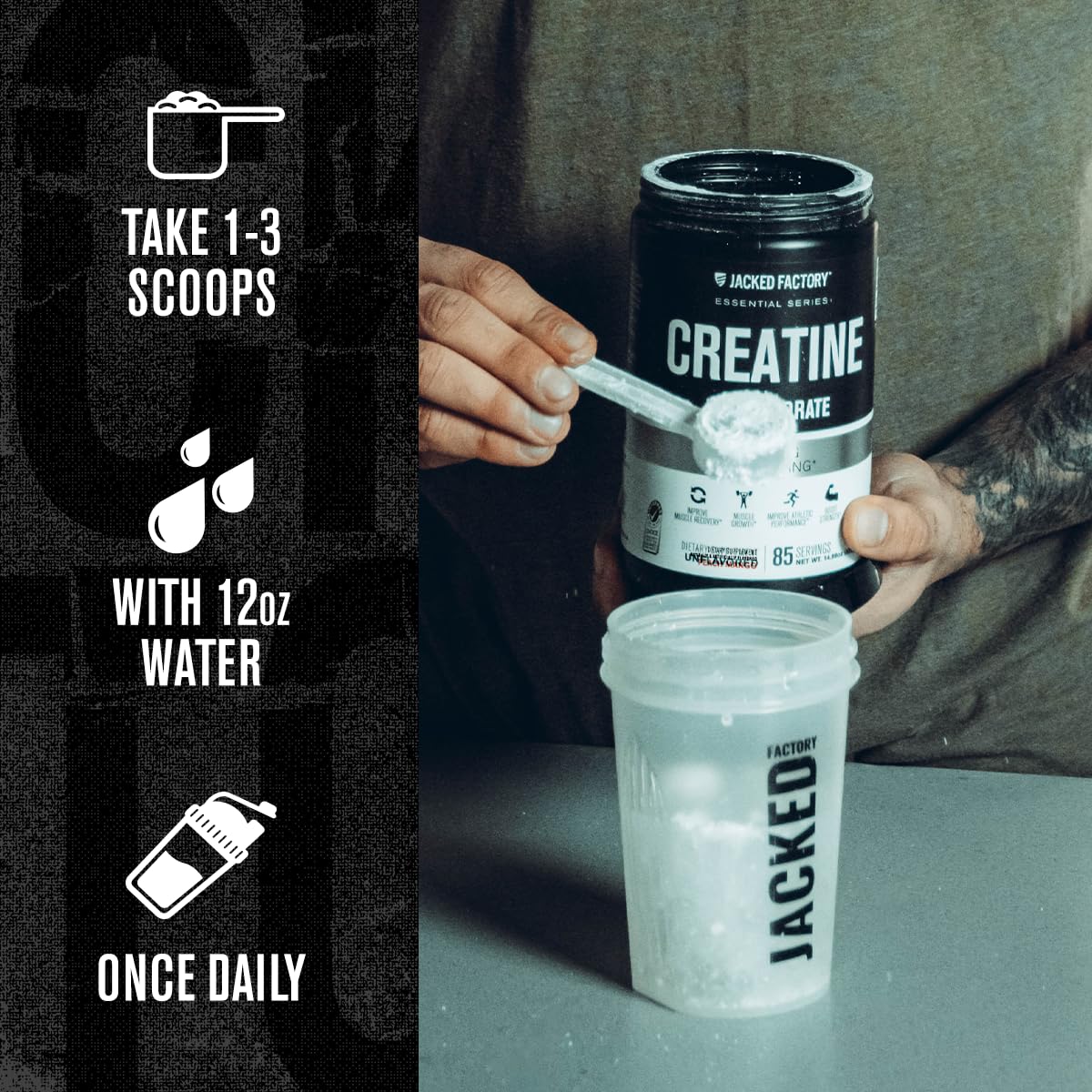 Jacked Factory Creatine + Glutamine - Creatine Supplement with L-Glutamine for Muscle Recovery, Muscle Growth, Increased Strength, Enhanced Energy Output, and Gut Health - 30 Servings, Unflavored