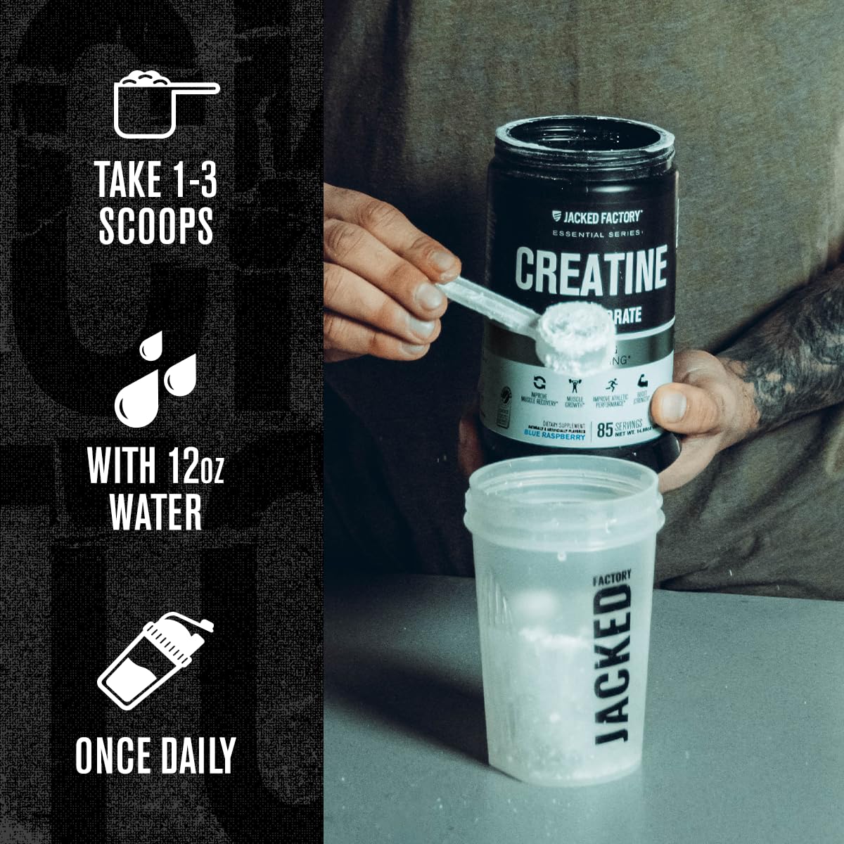 Jacked Factory Creatine + Glutamine - Creatine Supplement with L-Glutamine for Muscle Recovery, Muscle Growth, Increased Strength, Enhanced Energy Output, and Gut Health - 30 Servings, Unflavored