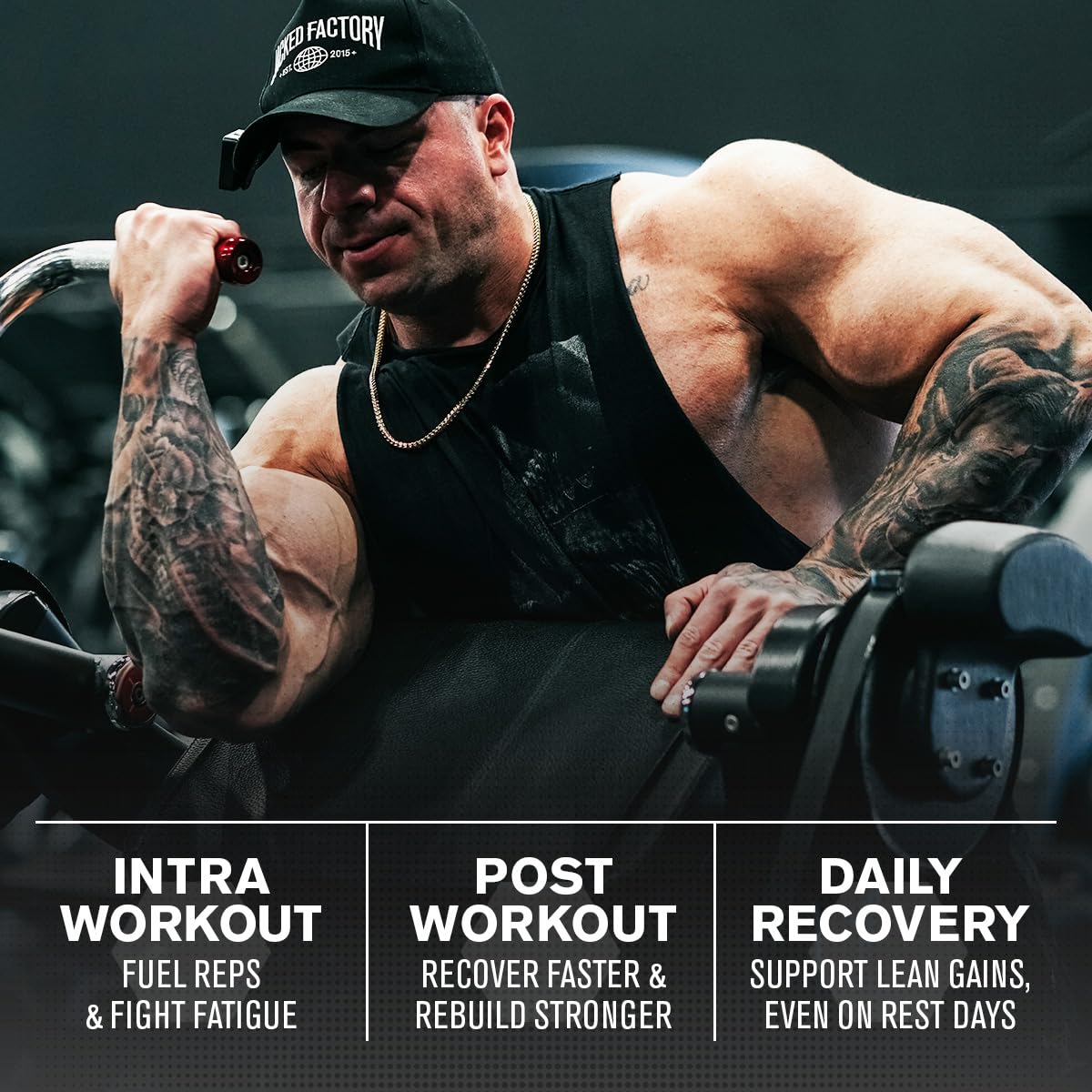 Jacked Factory Creatine + Glutamine - Creatine Supplement with L-Glutamine for Muscle Recovery, Muscle Growth, Increased Strength, Enhanced Energy Output, and Gut Health - 30 Servings, Unflavored