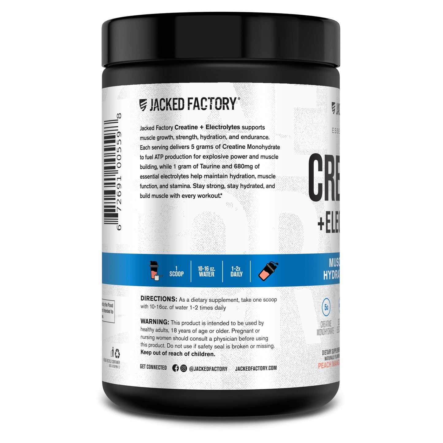 Jacked Factory Creatine + Glutamine - Creatine Supplement with L-Glutamine for Muscle Recovery, Muscle Growth, Increased Strength, Enhanced Energy Output, and Gut Health - 30 Servings, Unflavored