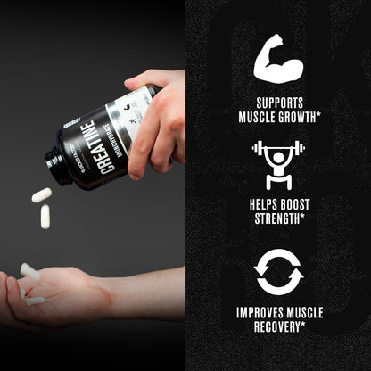Jacked Factory Creatine + Glutamine - Creatine Supplement with L-Glutamine for Muscle Recovery, Muscle Growth, Increased Strength, Enhanced Energy Output, and Gut Health - 30 Servings, Unflavored