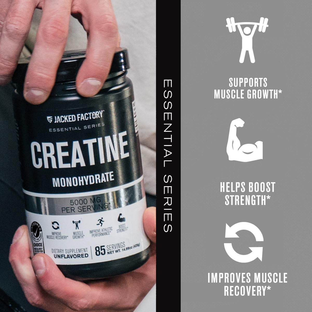 Jacked Factory Creatine + Glutamine - Creatine Supplement with L-Glutamine for Muscle Recovery, Muscle Growth, Increased Strength, Enhanced Energy Output, and Gut Health - 30 Servings, Unflavored