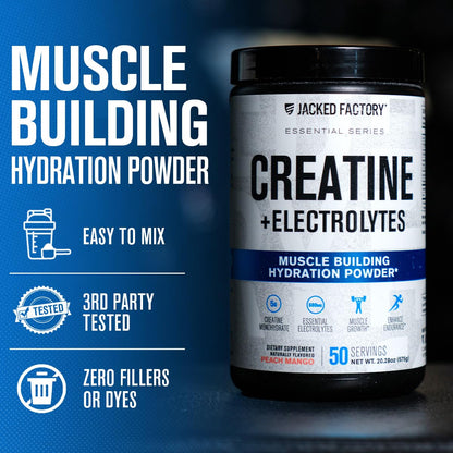 Jacked Factory Creatine + Glutamine - Creatine Supplement with L-Glutamine for Muscle Recovery, Muscle Growth, Increased Strength, Enhanced Energy Output, and Gut Health - 30 Servings, Unflavored