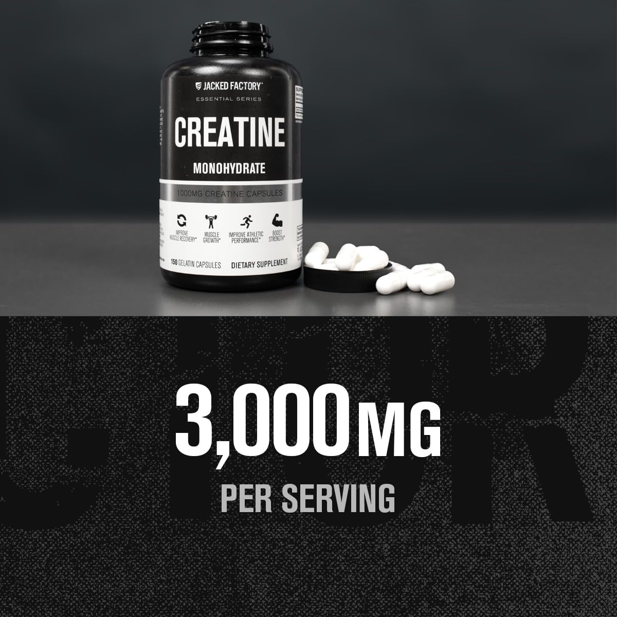 Jacked Factory Creatine + Glutamine - Creatine Supplement with L-Glutamine for Muscle Recovery, Muscle Growth, Increased Strength, Enhanced Energy Output, and Gut Health - 30 Servings, Unflavored
