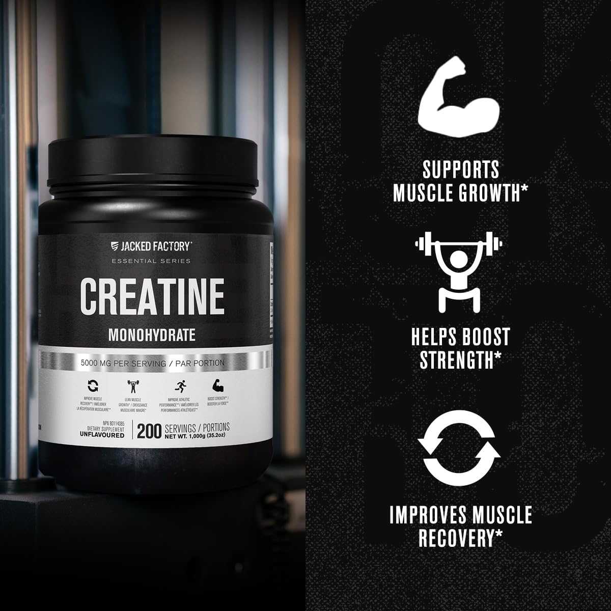 Jacked Factory Creatine + Glutamine - Creatine Supplement with L-Glutamine for Muscle Recovery, Muscle Growth, Increased Strength, Enhanced Energy Output, and Gut Health - 30 Servings, Unflavored