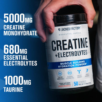 Jacked Factory Creatine + Glutamine - Creatine Supplement with L-Glutamine for Muscle Recovery, Muscle Growth, Increased Strength, Enhanced Energy Output, and Gut Health - 30 Servings, Unflavored
