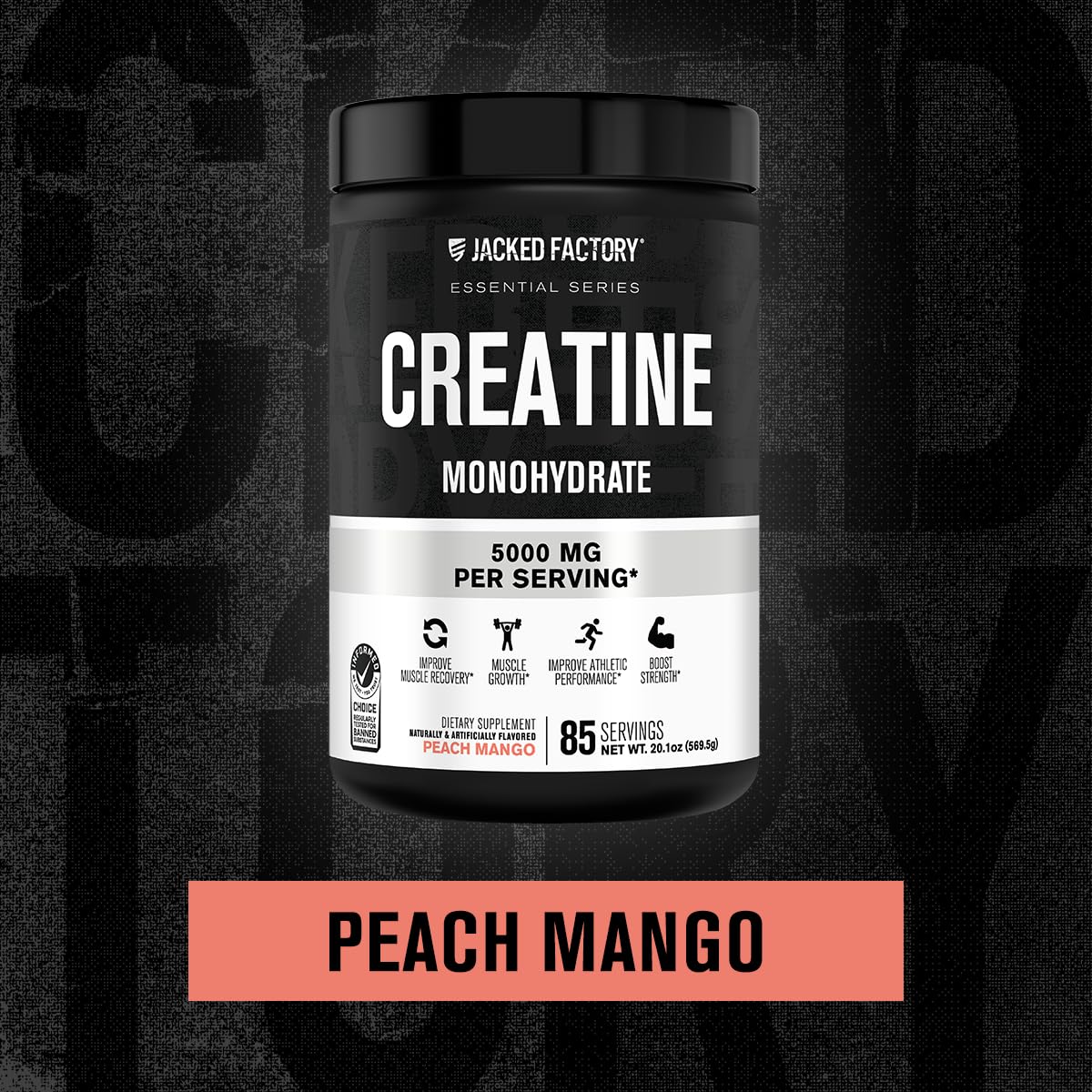 Jacked Factory Creatine + Glutamine - Creatine Supplement with L-Glutamine for Muscle Recovery, Muscle Growth, Increased Strength, Enhanced Energy Output, and Gut Health - 30 Servings, Unflavored