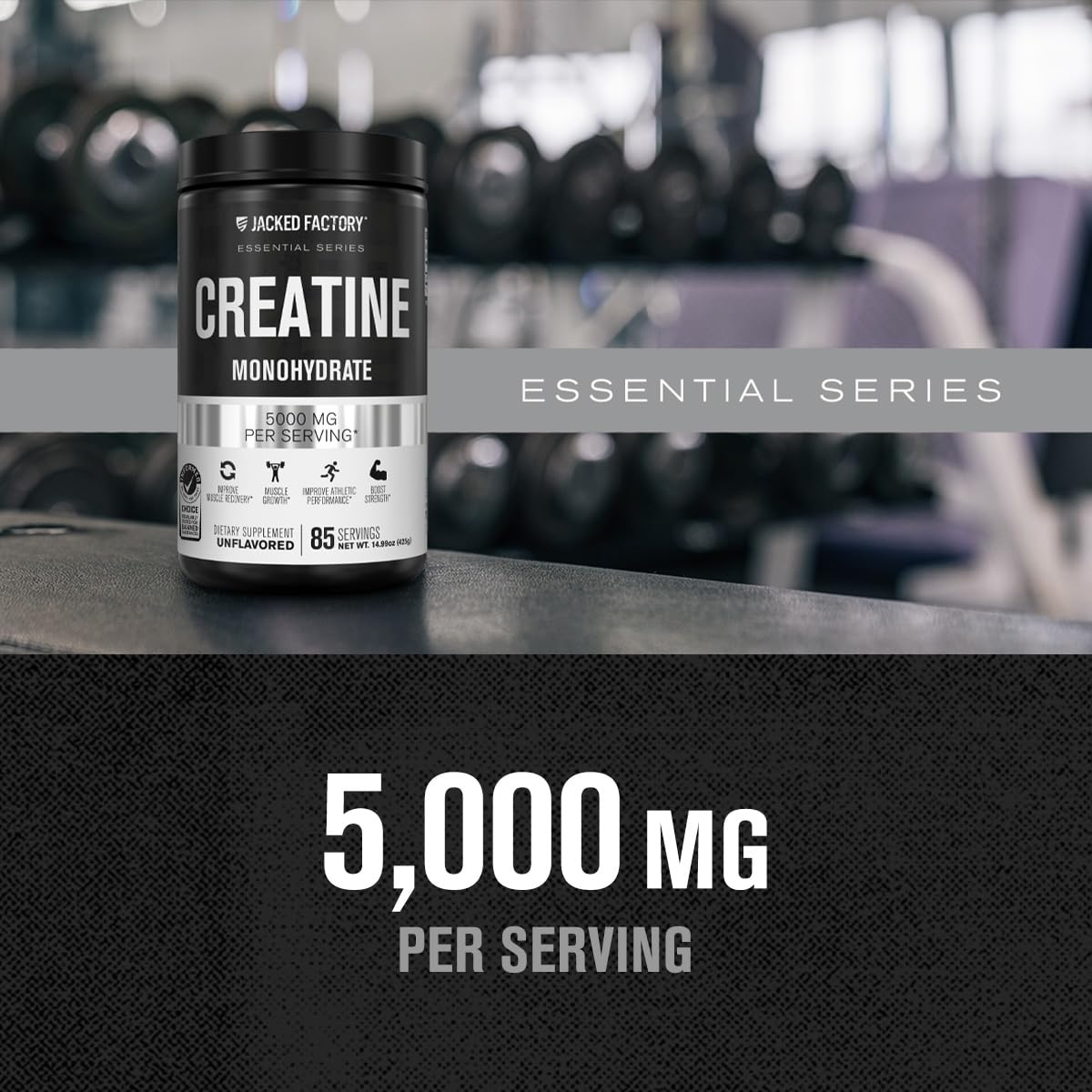 Jacked Factory Creatine + Glutamine - Creatine Supplement with L-Glutamine for Muscle Recovery, Muscle Growth, Increased Strength, Enhanced Energy Output, and Gut Health - 30 Servings, Unflavored