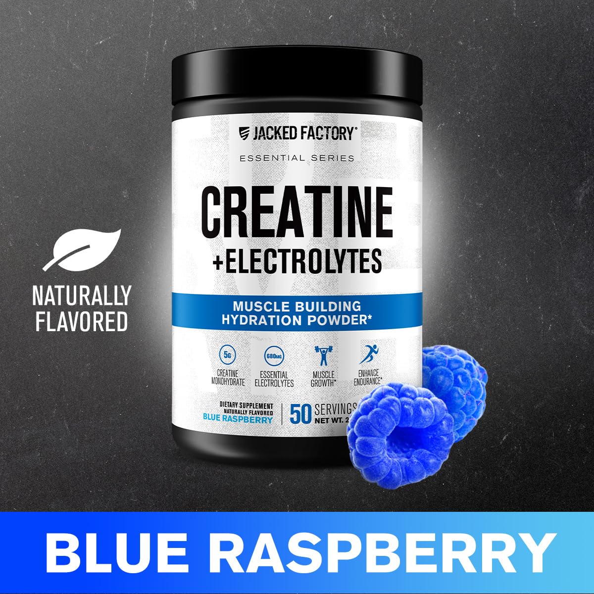 Jacked Factory Creatine + Glutamine - Creatine Supplement with L-Glutamine for Muscle Recovery, Muscle Growth, Increased Strength, Enhanced Energy Output, and Gut Health - 30 Servings, Unflavored