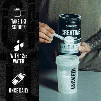 Jacked Factory Creatine + Glutamine - Creatine Supplement with L-Glutamine for Muscle Recovery, Muscle Growth, Increased Strength, Enhanced Energy Output, and Gut Health - 30 Servings, Unflavored