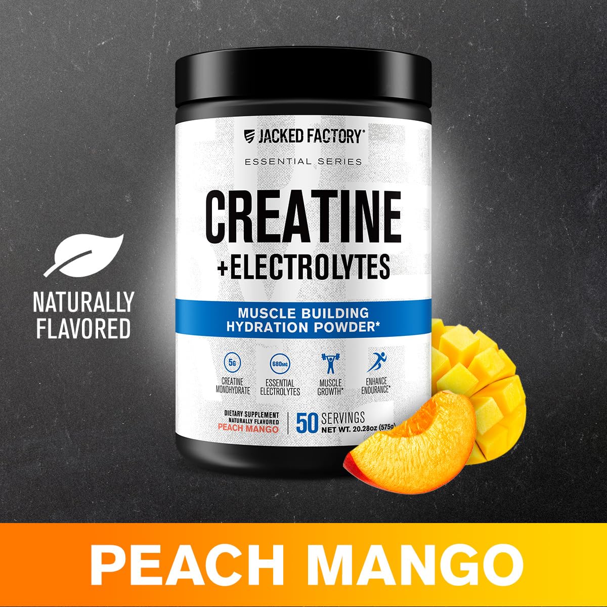Jacked Factory Creatine + Glutamine - Creatine Supplement with L-Glutamine for Muscle Recovery, Muscle Growth, Increased Strength, Enhanced Energy Output, and Gut Health - 30 Servings, Unflavored