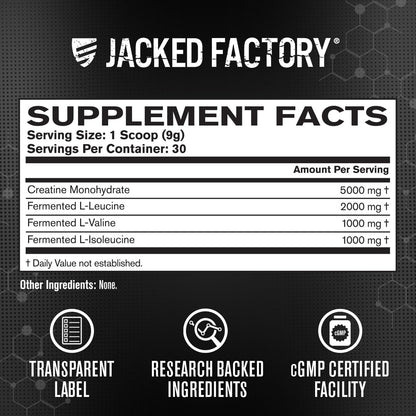 Jacked Factory Creatine + Glutamine - Creatine Supplement with L-Glutamine for Muscle Recovery, Muscle Growth, Increased Strength, Enhanced Energy Output, and Gut Health - 30 Servings, Unflavored