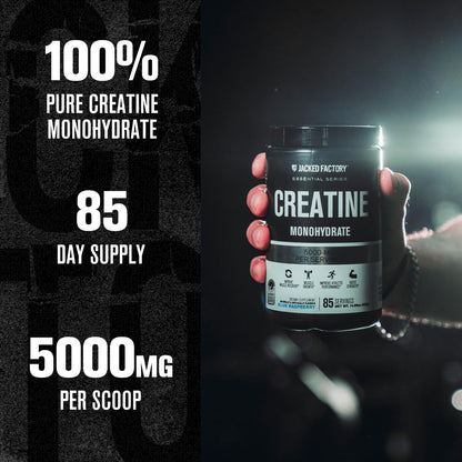 Jacked Factory Creatine + Glutamine - Creatine Supplement with L-Glutamine for Muscle Recovery, Muscle Growth, Increased Strength, Enhanced Energy Output, and Gut Health - 30 Servings, Unflavored
