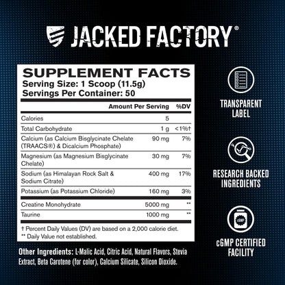 Jacked Factory Creatine + Glutamine - Creatine Supplement with L-Glutamine for Muscle Recovery, Muscle Growth, Increased Strength, Enhanced Energy Output, and Gut Health - 30 Servings, Unflavored