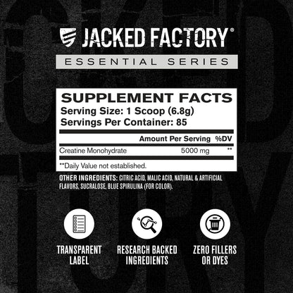 Jacked Factory Creatine + Glutamine - Creatine Supplement with L-Glutamine for Muscle Recovery, Muscle Growth, Increased Strength, Enhanced Energy Output, and Gut Health - 30 Servings, Unflavored