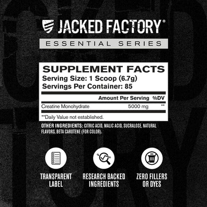 Jacked Factory Creatine + Glutamine - Creatine Supplement with L-Glutamine for Muscle Recovery, Muscle Growth, Increased Strength, Enhanced Energy Output, and Gut Health - 30 Servings, Unflavored